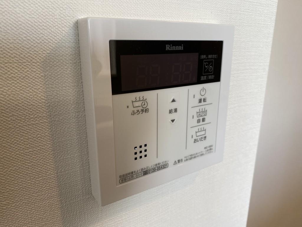 shoebill その他12