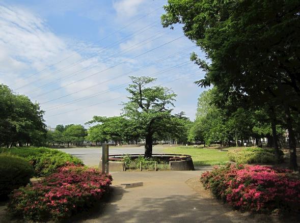 shoebill 周辺画像4