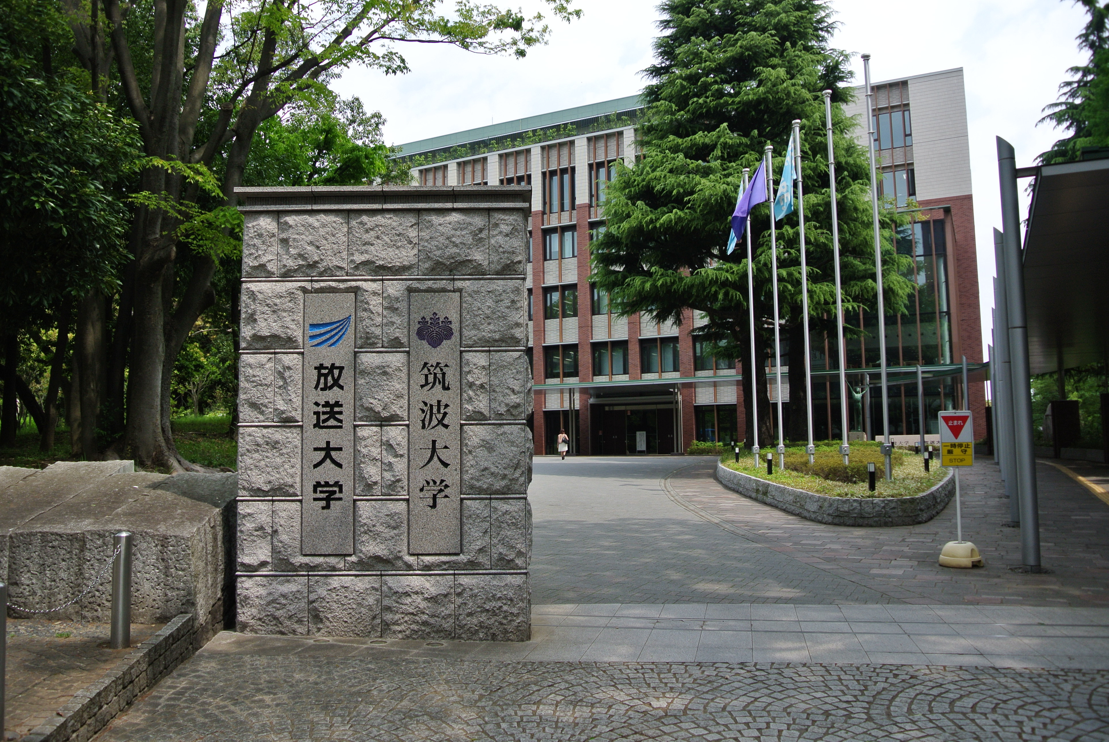 グラシーナ文京 周辺画像5