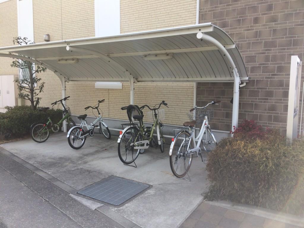 アルブルシャルマン その他11