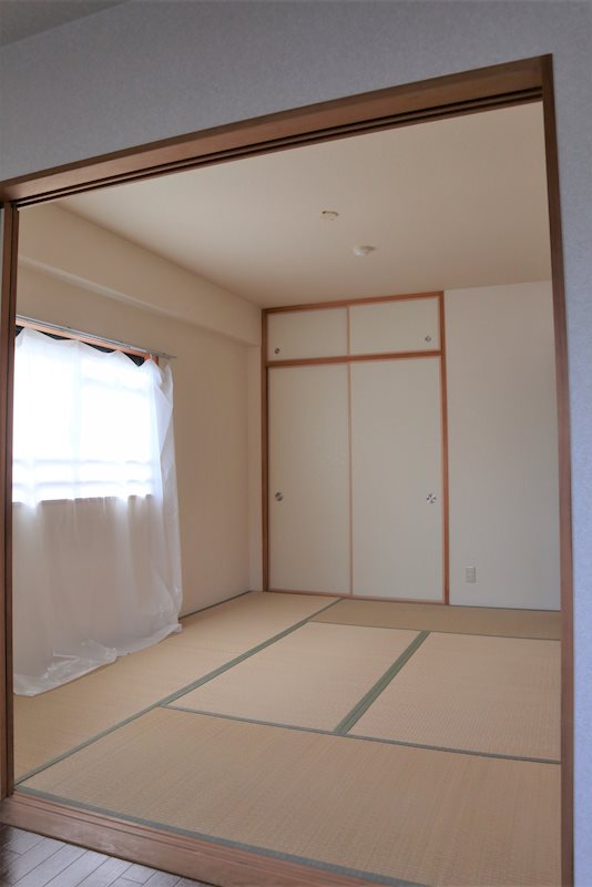 コスモス・ミソノ その他20
