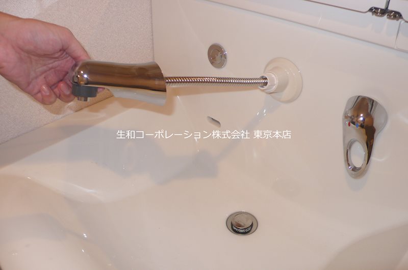 シュトランドコルブ その他2
