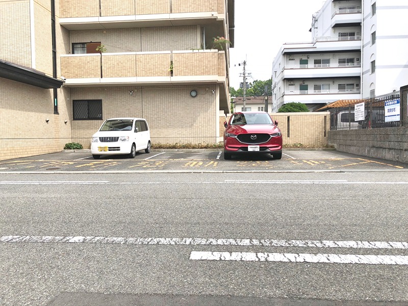 パレス中もず その他外観3