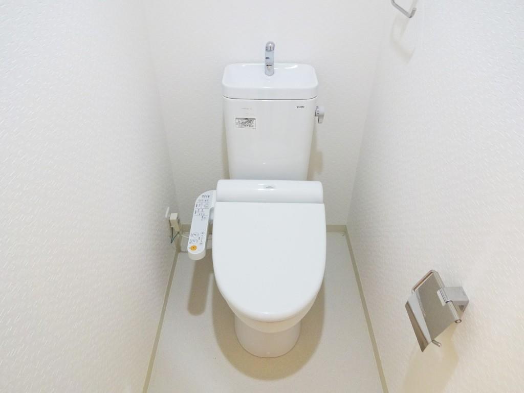 槻（ケヤキ） その他11