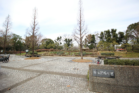 チェスナット西大島 周辺画像1