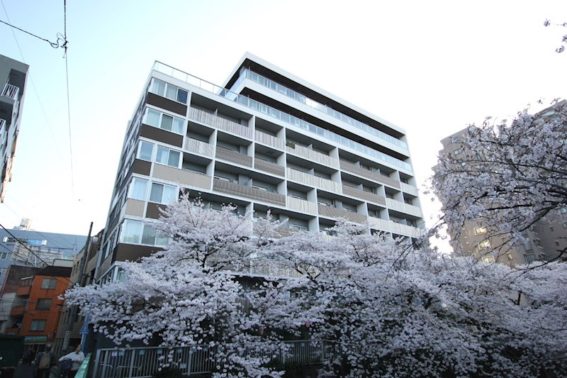アールコート早稲田 208号室 外観