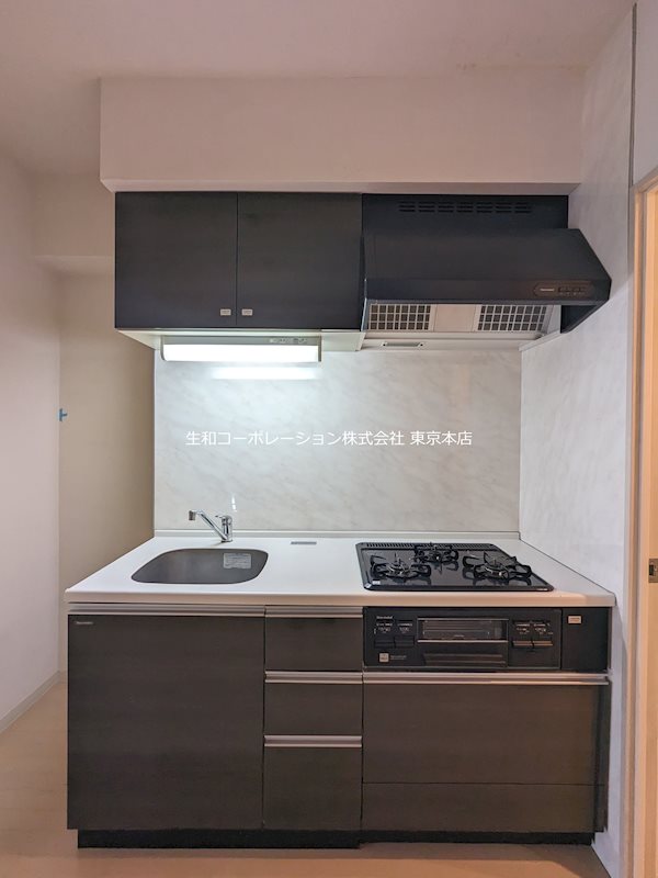 MIZUHO FLATS(瑞穂フラッツ) キッチン