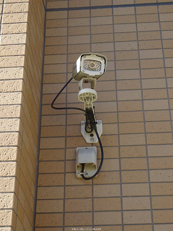 ラフィーヌフジ その他外観2