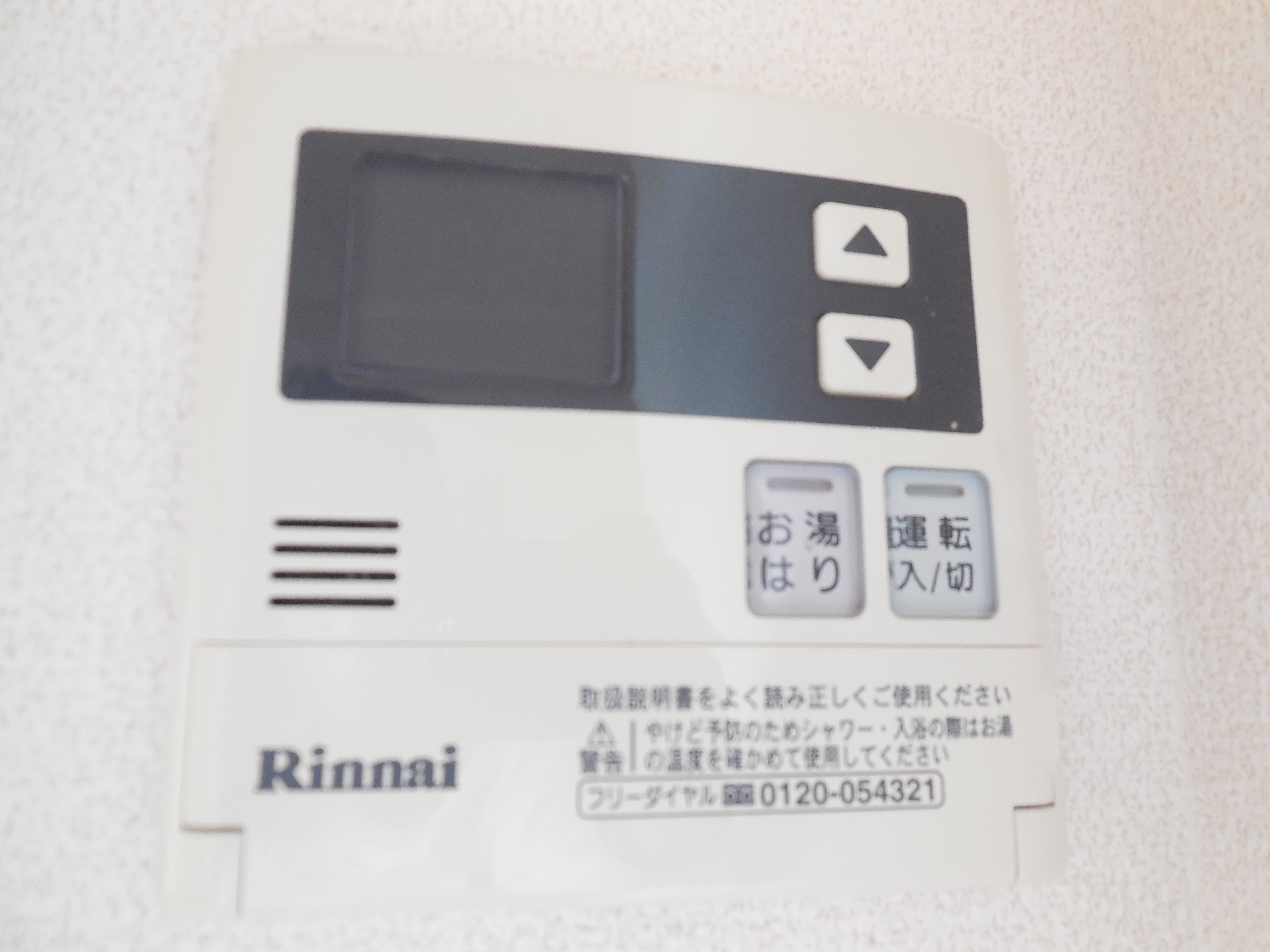 メルヴェーユコマドリ その他3