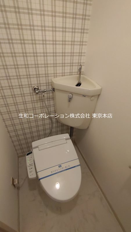 ディラヴェール田柄 その他1
