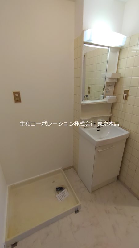 ディラヴェール田柄 その他2