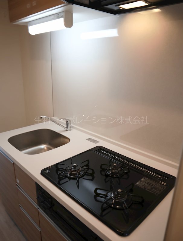 proceed Nishitokorozawa キッチン