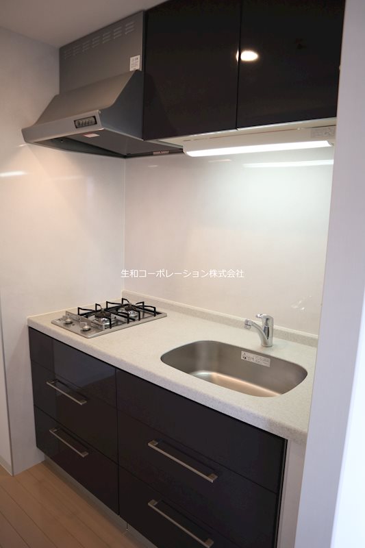 ESPERANZA AZABU(エスペランザ麻布) キッチン