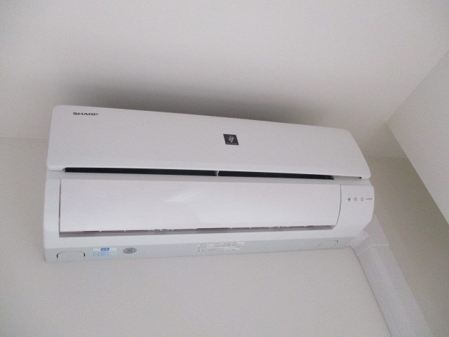 Shamrock・N その他1