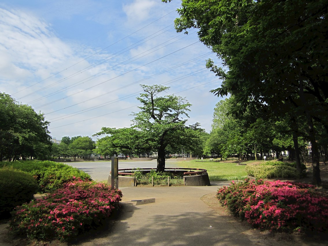 WAVE西新井(ウェーブ西新井) 周辺画像2