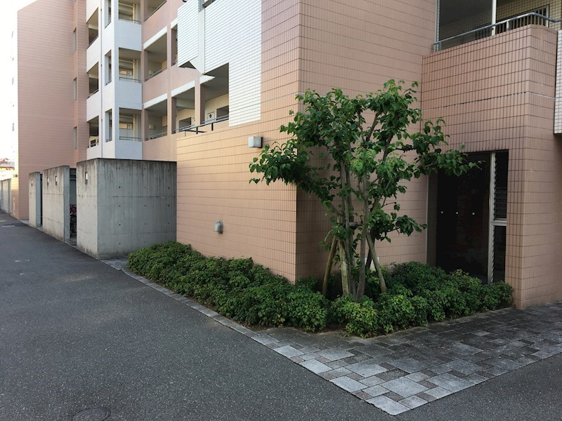 レーベンくすのき その他13
