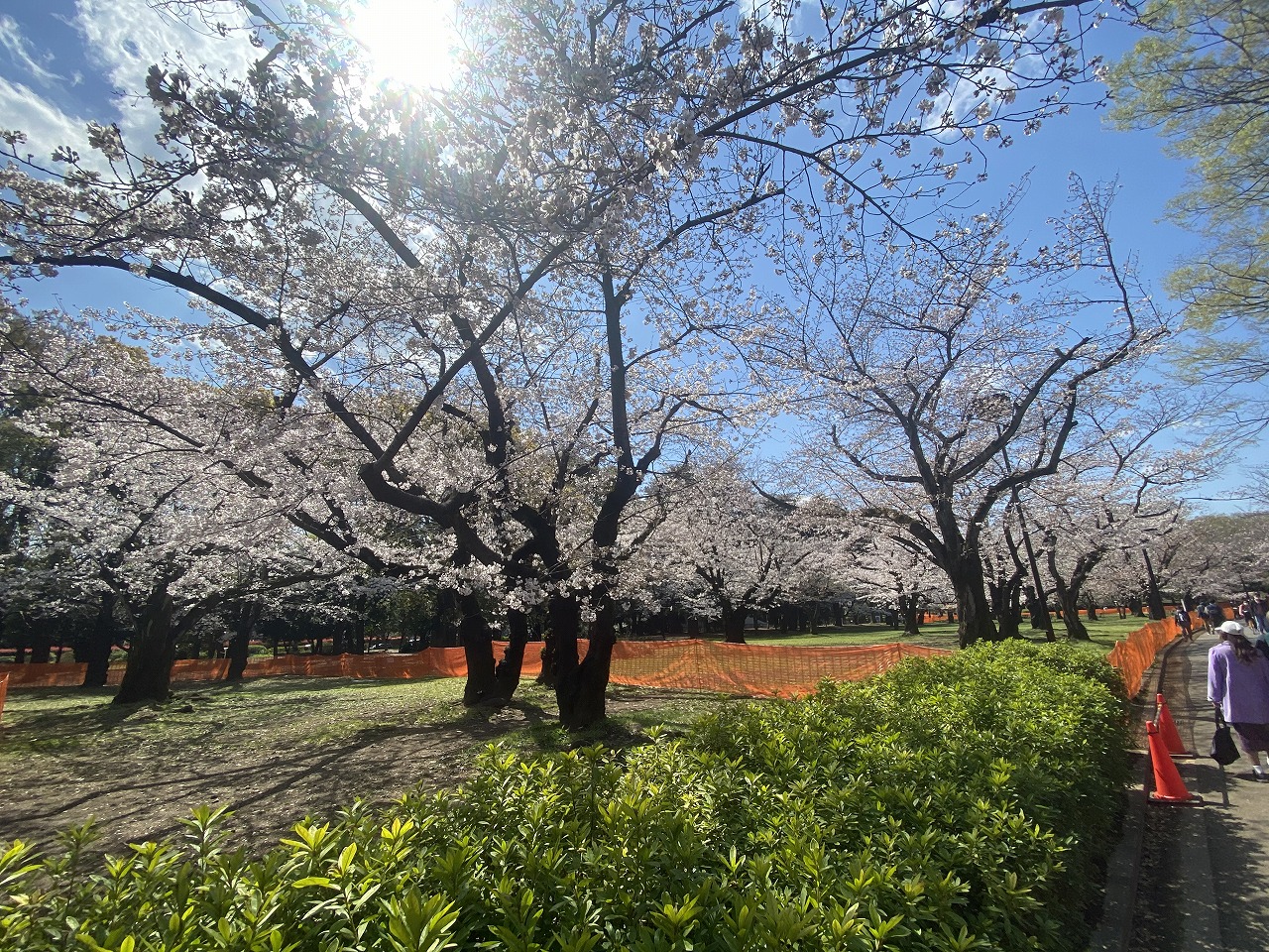 テアトル神南 周辺画像6