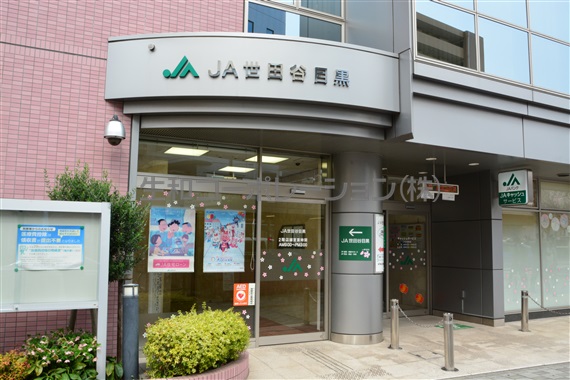 インペリアル弦巻 周辺画像5