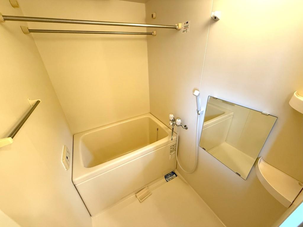 シャトレーヌⅡ その他9