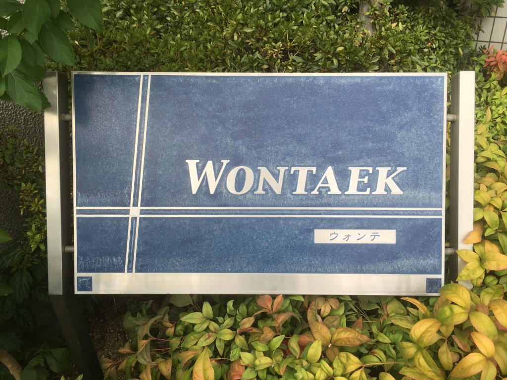 WONTAEK(ウォンテ) その他14