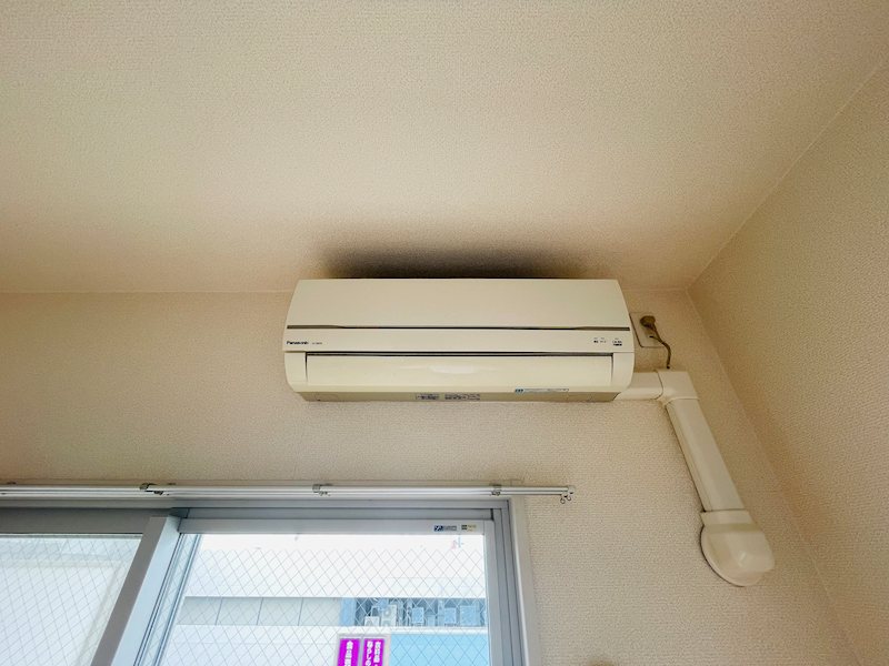 シャ ミニオン その他5