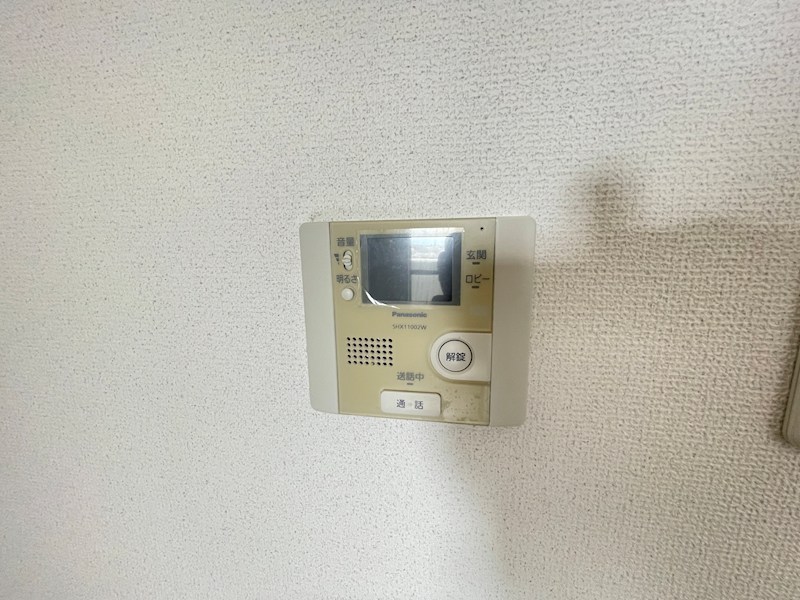 ｱﾙｼｵﾈ その他6