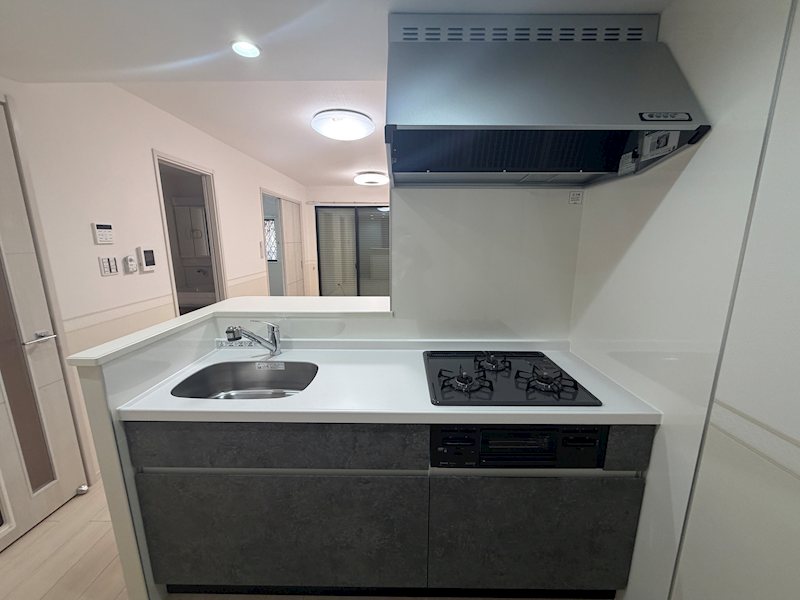 グレーヌ東寺 キッチン