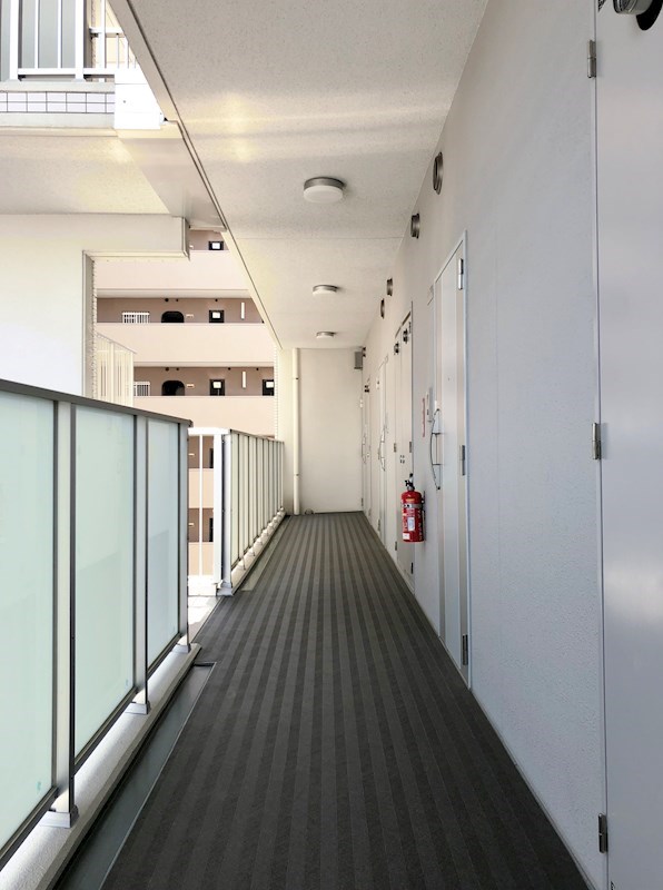 ツインアウルズ その他1