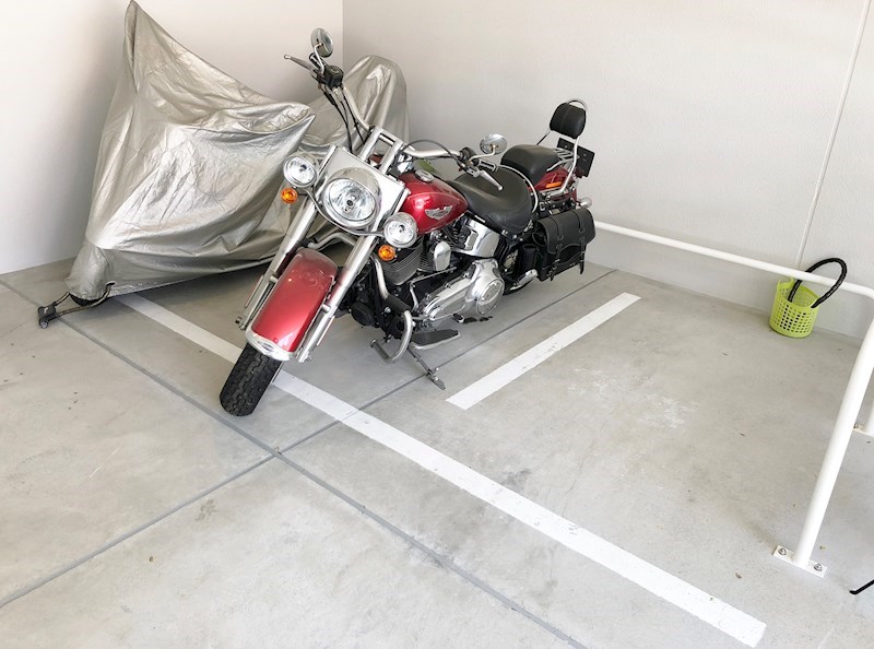 ツインアウルズ その他4