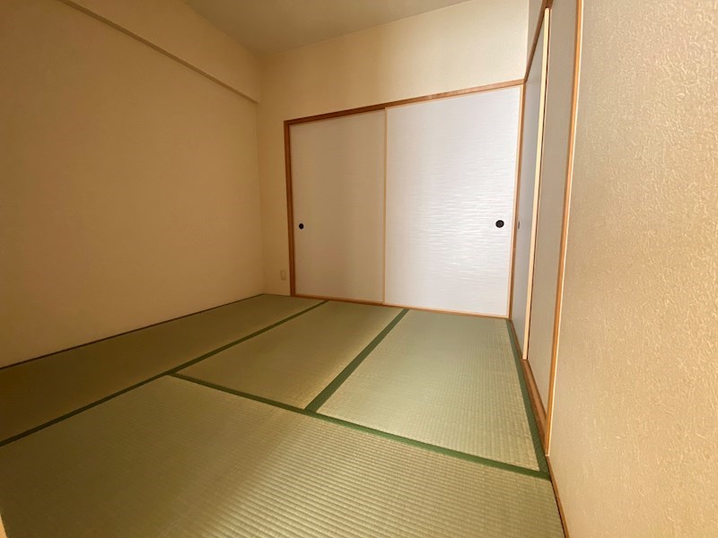 ｴﾙｿﾚｰﾕ その他1
