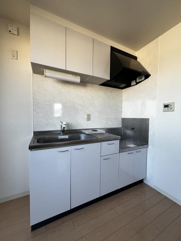 サクシード胤 キッチン