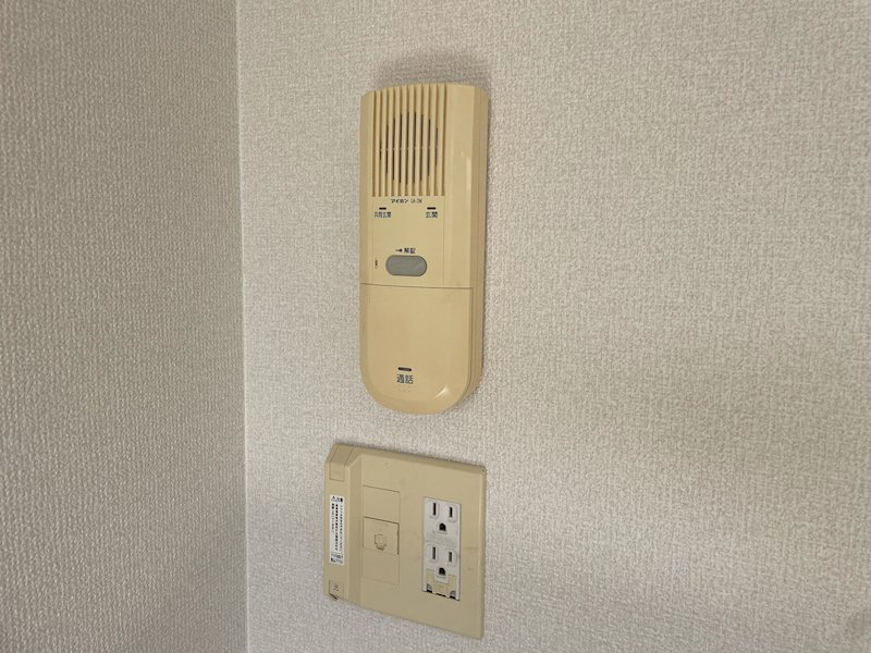 ダンデライオン その他4