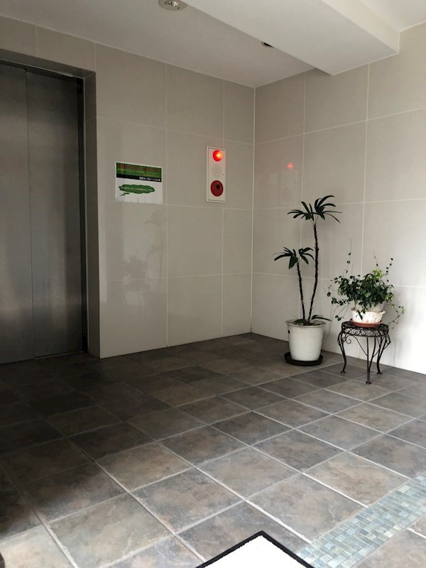 Felicity Kawasaki(フェリシティカワサキ) その他2