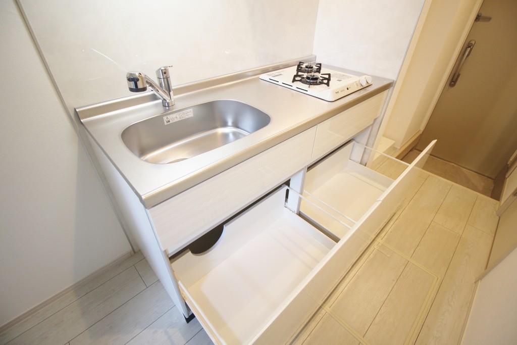 &#12477;&#12501;&#12451;&#12450;&#12467;&#12540;&#12488;&#38263;&#23621;&#20844;&#22290; &#12461;&#12483;&#12481;&#12531;