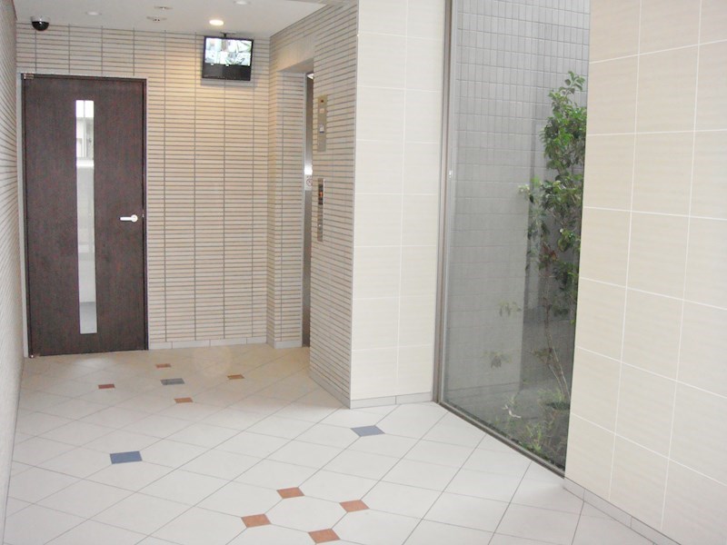 槻（ケヤキ） その他外観3