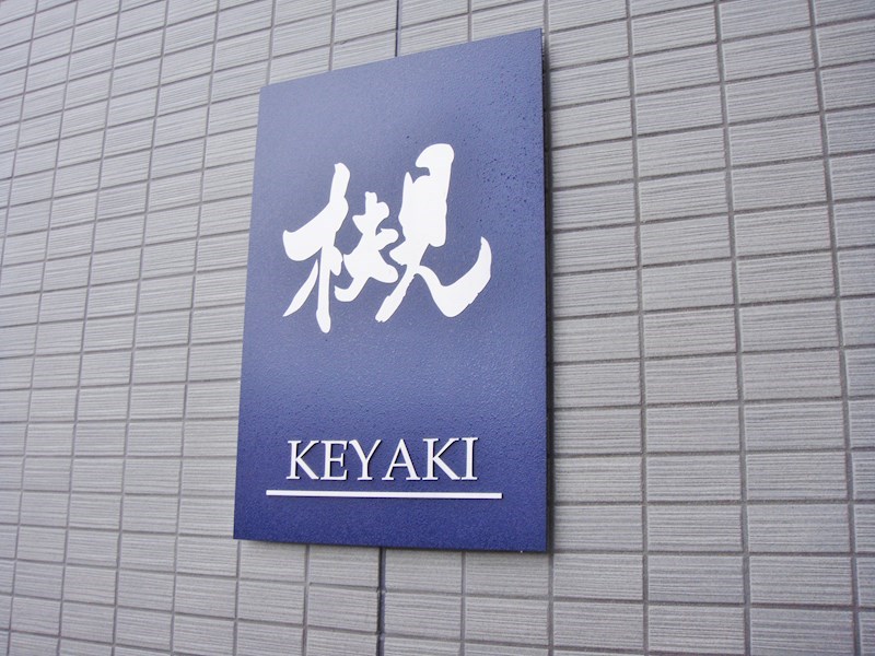 槻（ケヤキ） その他外観4