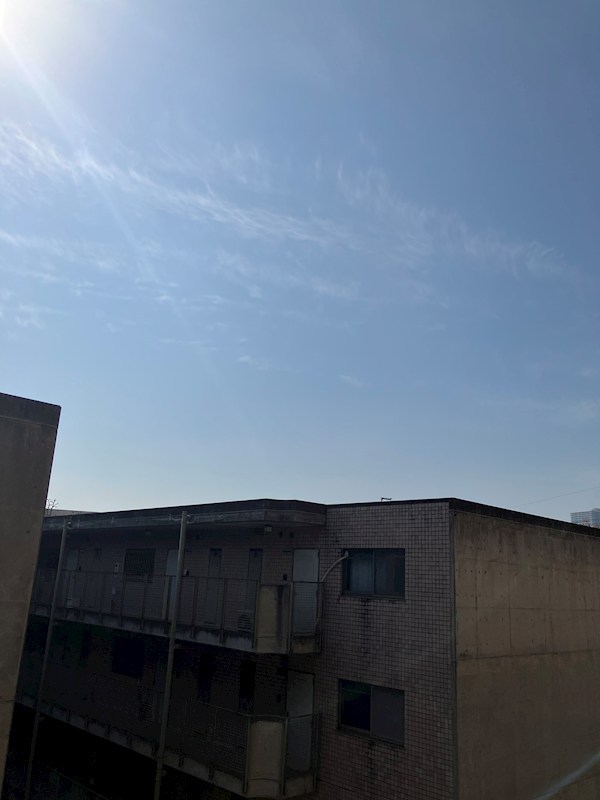 タウンコート咲佳映 その他4