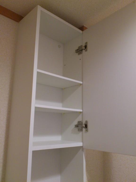 チェリーカーサ1番館 その他1