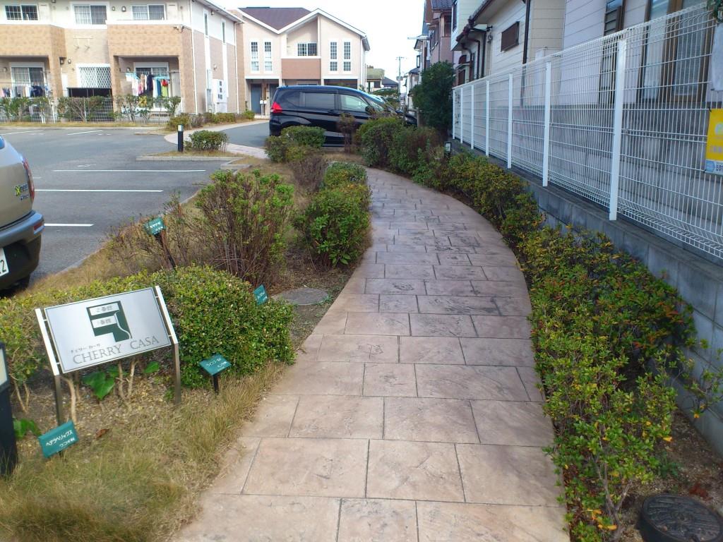 チェリーカーサ1番館 その他7