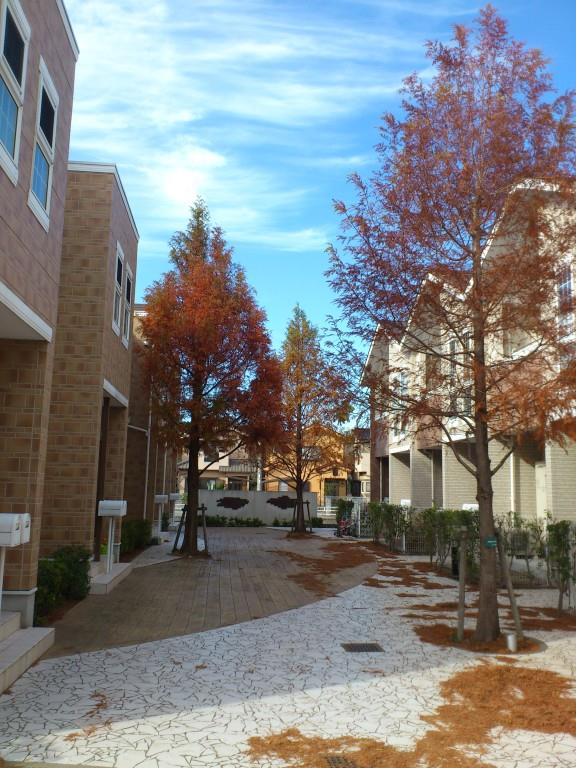 チェリーカーサ1番館 その他12