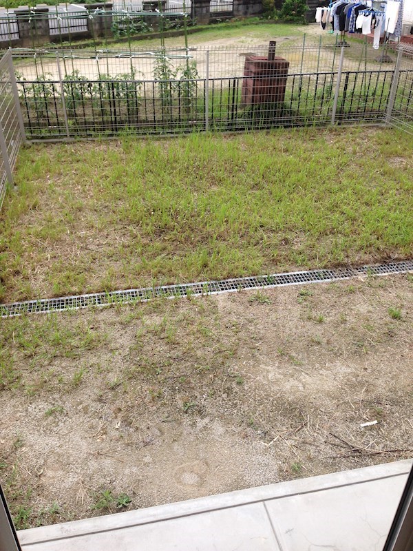 jardin de Tournesol(ジャルダンドゥトゥルヌスゥル) その他4