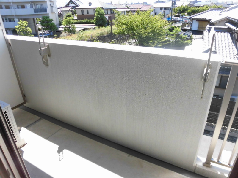 &#12523;&#12540;&#12475;&#12531;&#12488;&#65381;&#12498;&#12523; &#12505;&#12521;&#12531;&#12480;