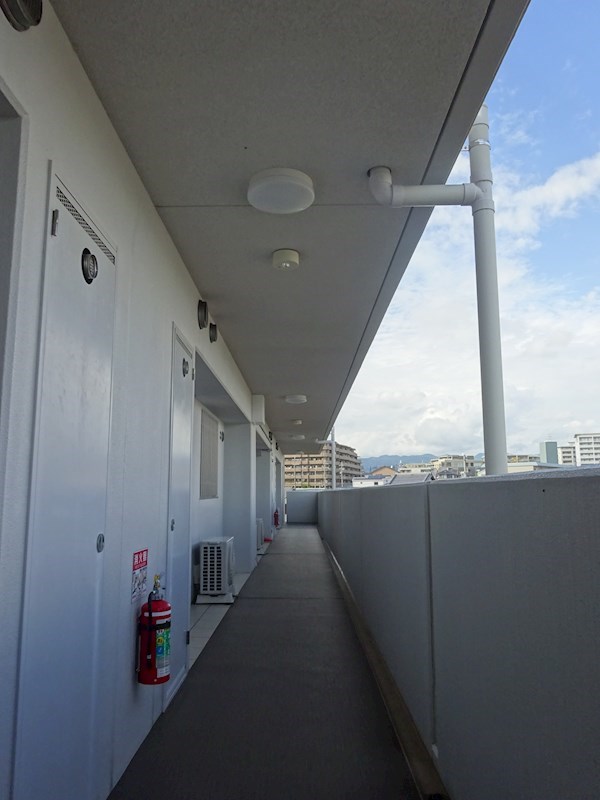 ドルフコートK その他外観5