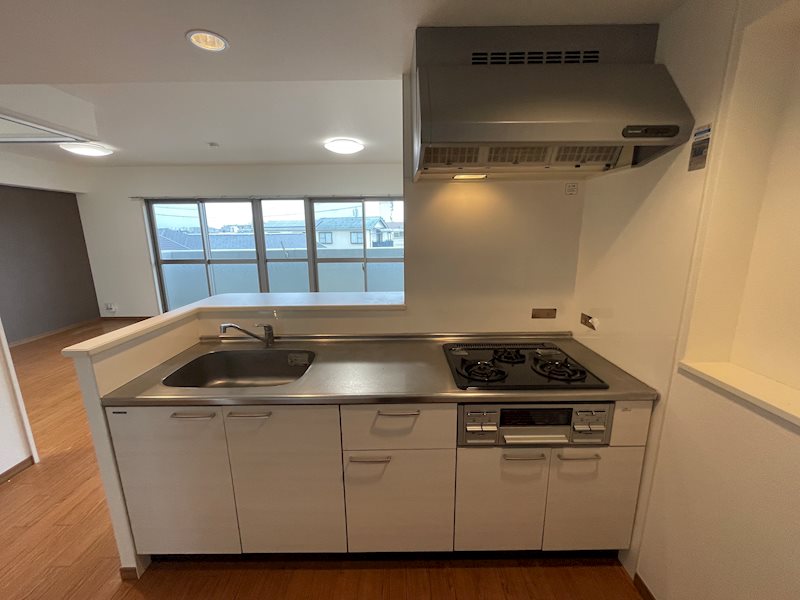 ドルフコートK キッチン