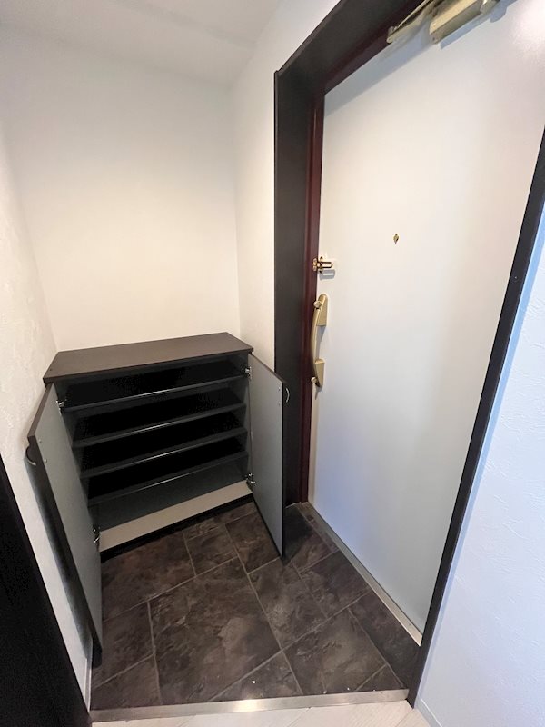 グランパシフィック木川東 玄関