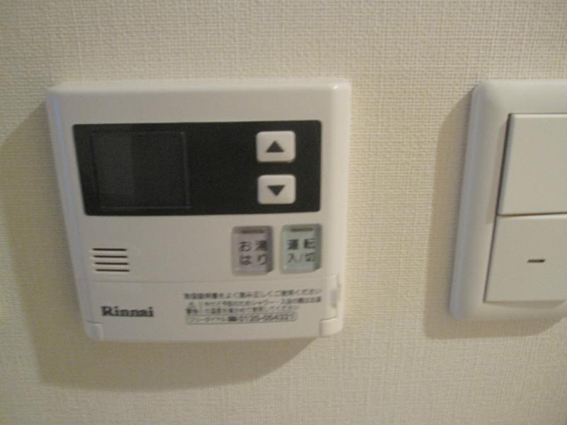 グレースランド その他2