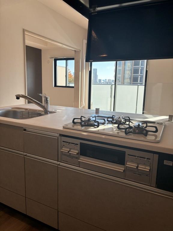 ROOTs Shinjuku Wakamatsucho(ルーツシンジュクワカマツチョウ) その他19