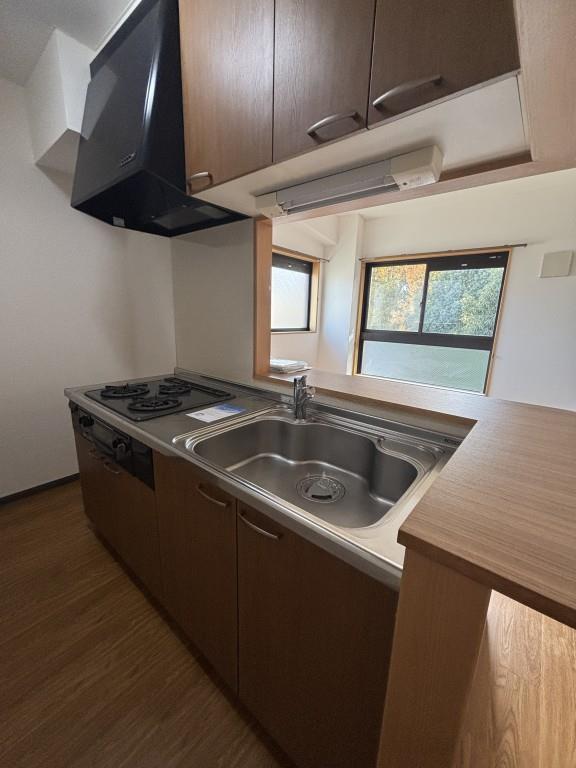 Bonne ChanceⅡ(ボンヌシャンスツー) キッチン