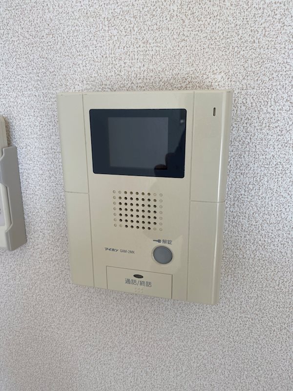 ｽﾌﾟﾗﾝﾄﾞｩｰﾙｳﾞｨﾗ その他3