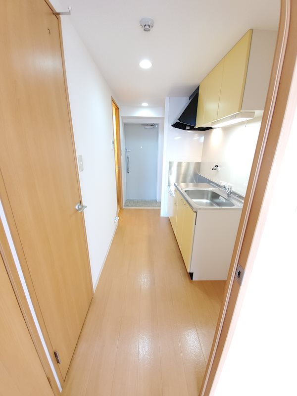 ｽﾌﾟﾗﾝﾄﾞｩｰﾙｳﾞｨﾗ その他8